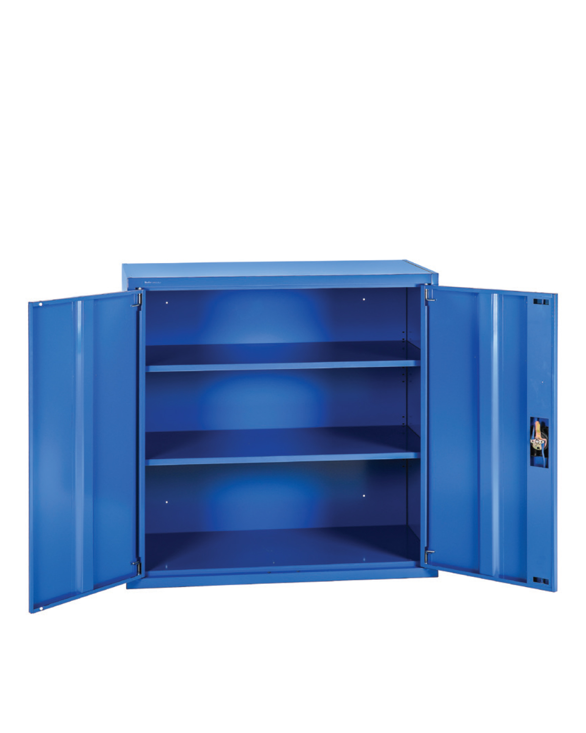Storage Cabinet, Blue, W 1000 mm x H 1000 mm